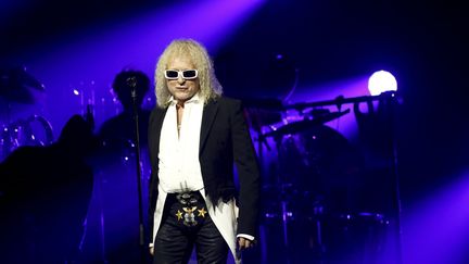 Michel Polnareff, en concert à Nice, le 5 décembre 2016. (FRANTZ BOUTON / MAXPPP)