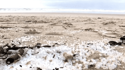 Depuis novembre 2022, des billes de microplastiques déferlent sur les plages de la côte atlantique. Une situation qui attriste les élus locaux, dont certains ont porté plainte.