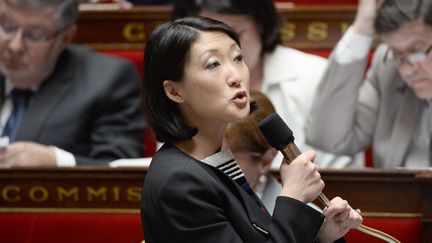   Fleur Pellerin à l'Assemblée Nationale
 (Antoine de Sakutin)