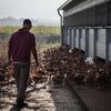 La plateforme Leetchi recense, à elle seule, près de 7 500 cagnottes ouvertes pour des agriculteurs en 2024. (THIBAUD MORITZ / AFP)