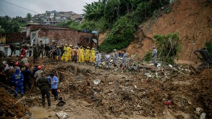 Des soldats, pompiers et habitants tentent de retrouver des survivants après un glissement de terrain à Recife (Brésil), le 29 mai 2022.&nbsp; (BRENDA ALCANTARA / AFP)