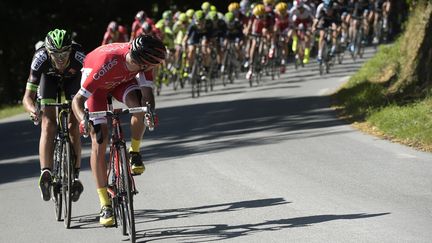 Les coureurs du Tour de France lors de l'&eacute;tape Livarot-Foug&egrave;res, samedi 10 juillet 2015.&nbsp; (LIONEL BONAVENTURE / AFP)