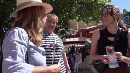 La campagne en vue des élections législatives s'accentue pour convaincre les indécis et ceux qui ne sont pas allés voter au premier tour, dimanche 12 juin. Ils sont très nombreux, surtout les jeunes, et sont devenus un enjeu important pour tous les partis. (Capture d'écran / France 2)