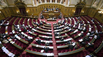 Dans l'h&eacute;micycle du S&eacute;nat, &agrave; Paris, le 13 novembre 2012. (JOEL SAGET / AFP)