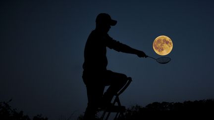 Un Chinois s'amuse à tenter d'attraper la Lune, le 14 novembre 2016, à Ginqdao (Chine).&nbsp; (ZHOU KUN / IMAGINECHINA)