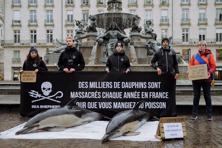 Activists from the NGO Sea Shepherd during an awareness-raising operation about the accidental death of dolphins, February 24, 2023 in Nantes (Loire-Atlantique).  (MAYLIS ROLLAND / HANS LUCAS / AFP)