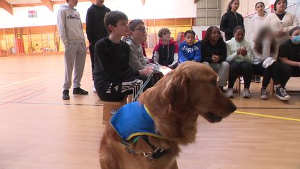 Le chien Silou accompagne les élèves durant les cours d'EPS. (France 3 Normandie)