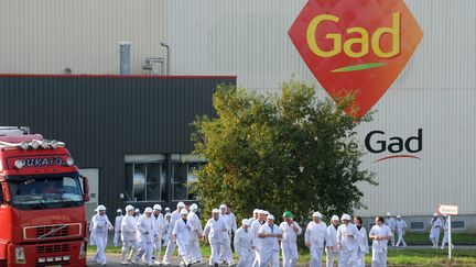 Des salari&eacute;s de l'abattoir Gad SAS &agrave; Josselin (Morbihan), le 22 octobre 2013. (FRED TANNEAU / AFP)