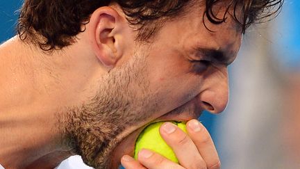 Le Bulgare Grigor Dimitrov mord la balle face au Chypriote Marcos Baghdatis&nbsp;lors de la demi-finale du tournoi de Brisbane (Australie), le 5 janvier 2012. (WILLIAM WEST / AFP)