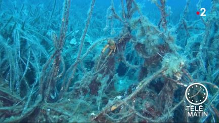 Mer Méditerranée : chasse aux filets de pêches abandonnés