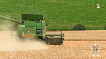 Une moissonneuse-batteuse dans un champ. (France 2)