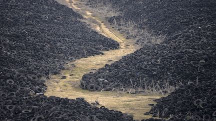 Des milliers de pneumatiques attendent d'&ecirc;tre recycl&eacute;s &agrave; Sesena (Espagne), le 9 janvier 2013. (PEDRO ARMESTRE / AFP)