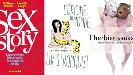 Couvertures de "Sex Story", "L'origine du monde", et "L'herbier sauvage"
