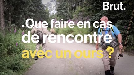 VIDEO. Tuto : Que faire en cas de rencontre avec un ours ? (BRUT)