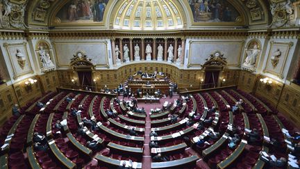 Une vue g&eacute;n&eacute;rale de l'h&eacute;micycle du S&eacute;nat, le 16 octobre 2012. (ERIC FEFERBERG / AFP)