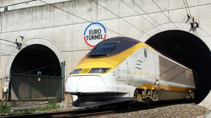 Un Eurostar parti de Londres pour Paris est rest&eacute; bloqu&eacute; pr&egrave;s de trois heures en pleine voie dans la nuit du mercredi 7 au jeudi 8 mai 2014, pr&egrave;s de Lille (Nord). (DENIS CHARLET / AFP)