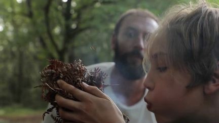 Des familles ont choisi de passer leurs vacances en mode survie, dans les forêts du Périgord, cet été. Reportage auprès de ces apprentis aventuriers.&nbsp; (FRANCE 2)