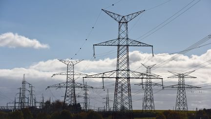 Des lignes électriques en pleine campagne. (MAXPPP)