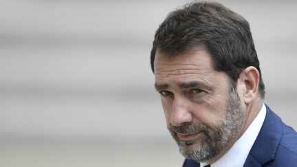 Christophe Castaner, le porte-parole du gouvernement, à&nbsp;l'Elysée, le 18 mai 2017. (STEPHANE DE SAKUTIN / AFP)