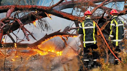 Firefighters respond to a fire in Saint-Victor-la-Coste, in the Gard. (MIKAEL ANISSET / MAXPPP)