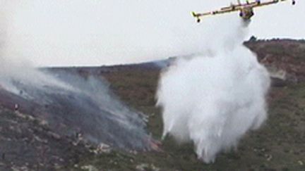 Incendie "sous contrôle" aux portes de Marseille (© France 2)