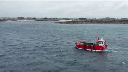 Finistère : découvrez le métier de pêcheur d'algues