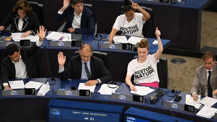 Des membres du Parlement européen à Strasbourg (France) le 12 juillet 2023, lors du vote du projet de loi européen sur la restauration de la nature et de la biodiversité. (FREDERICK FLORIN / AFP)