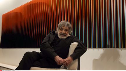 L'artiste Carlos Cruz-Diez, le 20 février 2014 (/NEWSCOM/SIPA / SIPA USA)