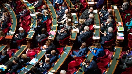 Les rangs du Sénat, à Paris, le 8 mars 2023. (XOSE BOUZAS / HANS LUCAS / AFP)