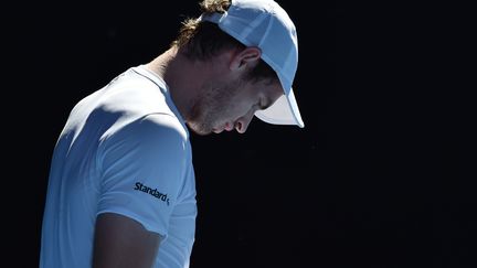 Andy Murray (PAUL CROCK / AFP)