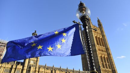 Des opposants au Brexit agitent un drapeau européen devant le parlement britannique, le 6 novembre 2017 à Londres (Royaume-Uni). (ALBERTO PEZZALI / NURPHOTO / AFP)