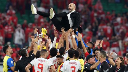 Le sélectionneur marocain Walid Regragui porté par ses joueurs après la qualification du Maroc en huitièmes de finale de la Coupe du monde, le 2 décembre 2022. (FADEL SENNA / AFP)