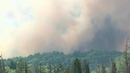 Incendie de la Montagnette : le feu a repris, déjà 105 hectares brûlés