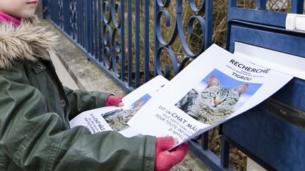 Photo d'illustration. La gendarmerie du Var a alerté, sur Facebook le 20 septembre 2018, d'une escroquerie en cours sur le site Pet Alert. (BIOSPHOTO / AFP)