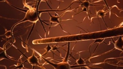 Alzheimer : l'espoir d'une nouvelle piste de prévention ?