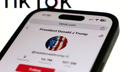 Le compte TikTok de Donald Trump, futur président des Etats-Unis. (JAKUB PORZYCKI / NURPHOTO / AFP)