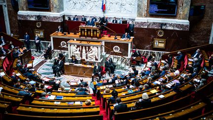 L'hémicycle de l'Assemblée nationale, le 20 juillet 2021 à Paris.&nbsp; (XOSE BOUZAS / HANS LUCAS / AFP)