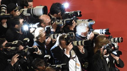 Saurez-vous compter combien de photographes se cachent sur cette photo, prise sur le tapis rouge, le 15 mai 2015 ? (LOIC VENANCE / AFP)