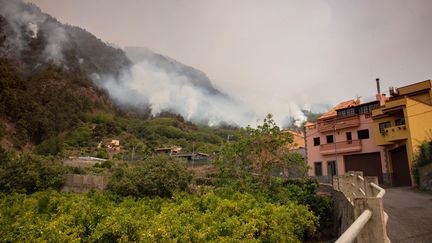 Un feu de forêt non loin du village de La Orotava sur l'île de Tenerife (Espagne), le 19 août 2023. (DESIREE MARTIN / AFP)