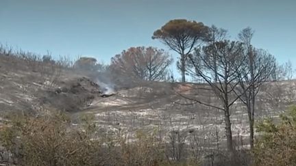 Incendie dans le Gard : les flammes enfin sous contrôle ?