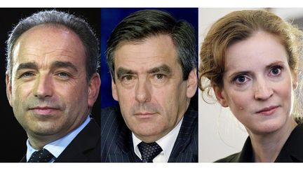 Jean-Fran&ccedil;ois Cop&eacute;, Fran&ccedil;ois Fillon et Nathalie Kosciusko-Morizet, entre autres, se disputent la pr&eacute;sidence de l'UMP. (LIONEL BONAVENTURE / AFP)