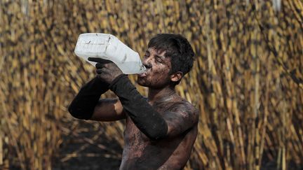 Un ouvrier boit de l'eau dans une plantation de canne &agrave; sucre &agrave; Managua (Nicaragua), le 12 mai 2014. (OSWALDO RIVAS / REUTERS)