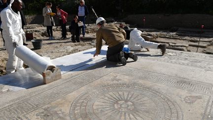 La mosaïque romaine découverte à Uzès va être déposée et transportée à Nîmes pour être protégée et sauvegardée
 (Pascal Guyot / AFP)