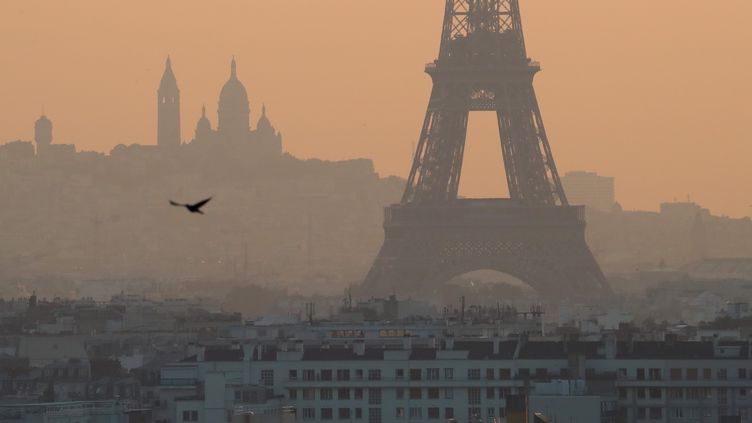 Paris Se Déclare En "état D'urgence Climatique"