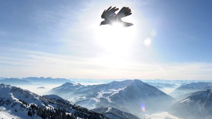 Vue du massif des Alpes depuis le sommet du Wendelstein (Allemagne), le 8 f&eacute;vrier 2012. (CHRISTOF STACHE / AFP)