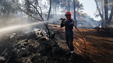 Incendie de forêt sur la commune de Saint-Mandrier, dans le Var, le 29 juillet 2019 (MAXPPP)