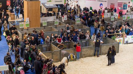 Le salon international de l'agriculture à la porte de Versailles, le 1er mars 2023. (MATHIEU PATTIER / OUEST FRANCE / MAXPPP)