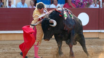 Corrida des fêtes de Bayonne, en 2006 (photo d'illustration) (MAXPPP TEAMSHOOT)