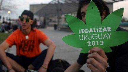 Des jeunes attendent à l'extérieur de la Chambre des députés, tandis que les législateurs débattent du projet de loi légalisant la marijuana, à Montevideo, le 31 Juillet 2013.  

 (PABLO BIELLI / AFP)