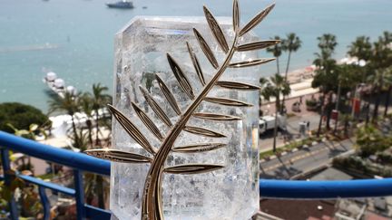 La Palme d'or Festival de Cannes 2017
 (Valery HACHE / AFP)